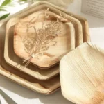 Sustainable Style Why AnzhuCraft Is the Future of Disposable Tableware